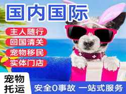 阆中古城空运代理国际宠物托运 【国