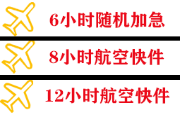 阆中古城空运代理快递公司,专业空运当天件
